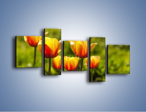 Obraz na płótnie – Pomarańczowe kwiaty i zieleń – pięcioczęściowy K952W7