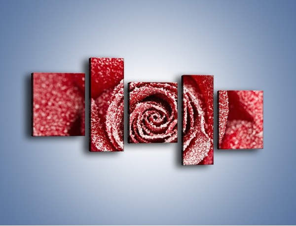 Obraz na płótnie – Szron na różanych płatkach – pięcioczęściowy K958W7