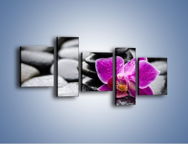 Obraz na płótnie – Malutki kwiatek i morze kamieni – pięcioczęściowy K983W7