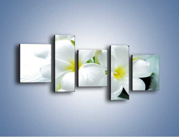 Obraz na płótnie – Białe kwiaty w potoku – pięcioczęściowy K991W7
