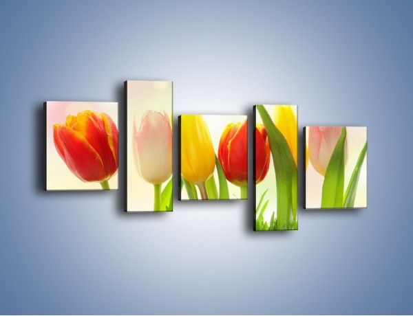 Obraz na płótnie – Sześć małych tulipanków – pięcioczęściowy K996W7