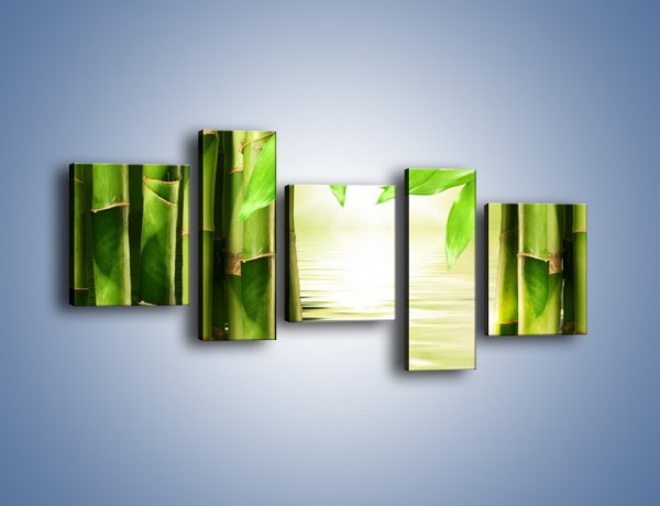 Obraz na płótnie – Bambusowe liście i łodygi – pięcioczęściowy KN027W7