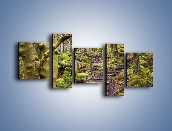 Obraz na płótnie – Schodkami przez las – pięcioczęściowy KN1054W7