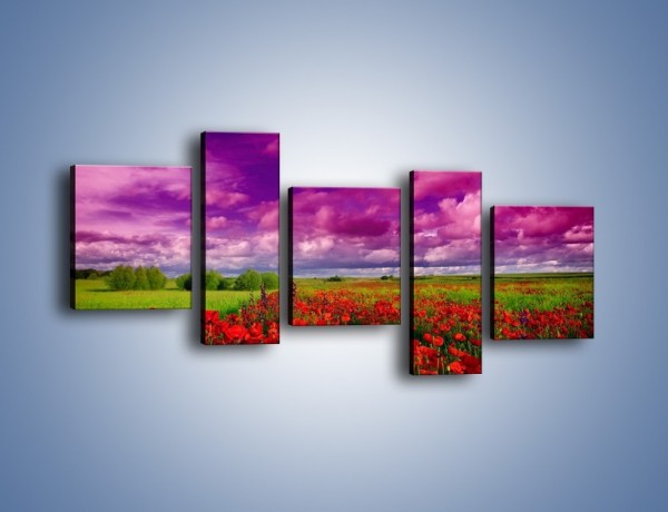 Obraz na płótnie – Maki nad fioletowymi chmurami – pięcioczęściowy KN1079AW7