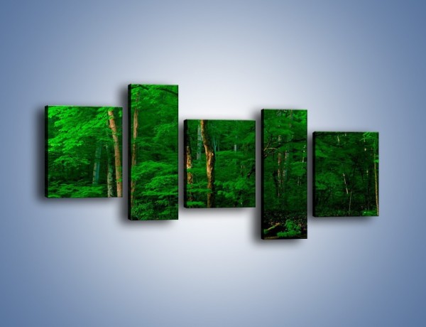 Obraz na płótnie – Mocno zarośnięty las – pięcioczęściowy KN1089AW7