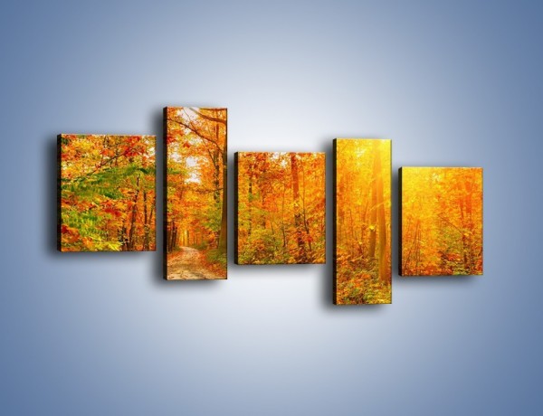 Obraz na płótnie – Leśną drużką jesienią – pięcioczęściowy KN1163AW7