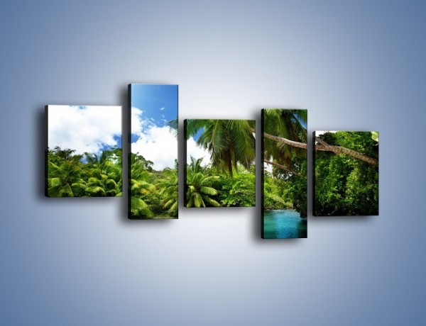Obraz na płótnie – Rozłożone palmy i woda – pięcioczęściowy KN1168AW7