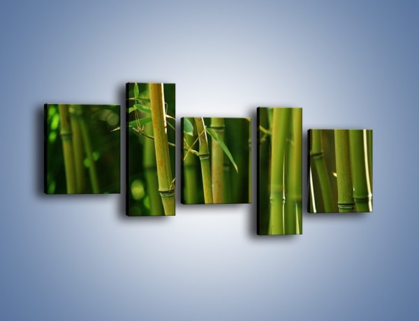 Obraz na płótnie – Bambusowe łodygi z bliska – pięcioczęściowy KN118W7
