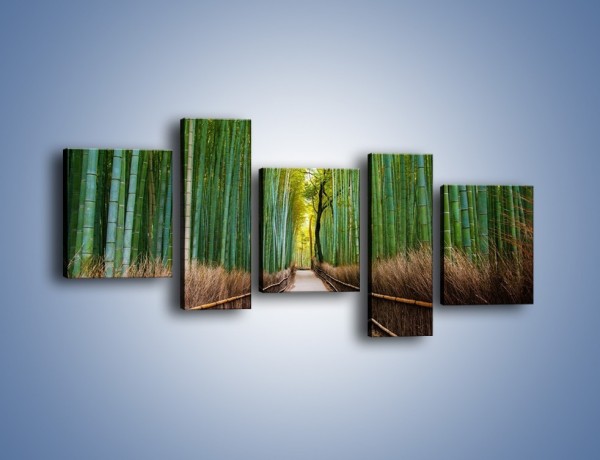 Obraz na płótnie – Bambusowy las – pięcioczęściowy KN1187AW7