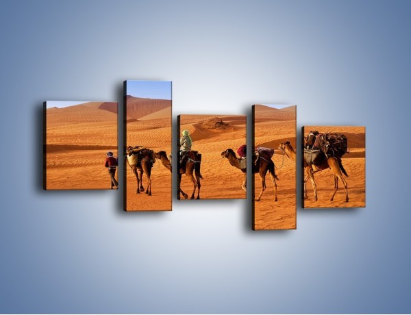 Obraz na płótnie – Idą wielbłądy przez pustynię – pięcioczęściowy KN1237AW7