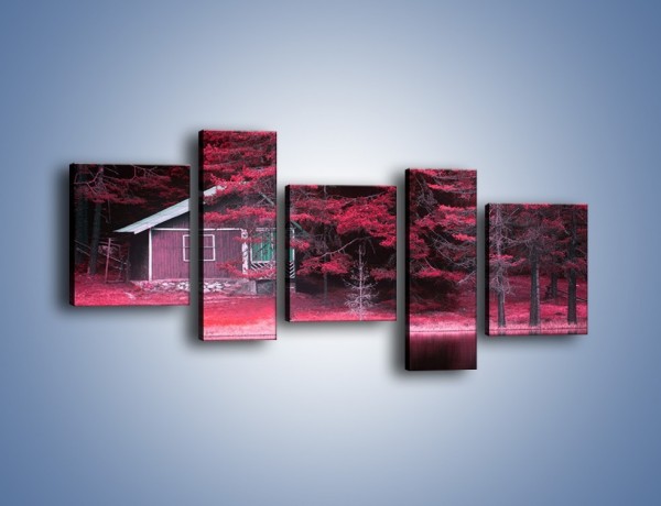 Obraz na płótnie – Kolor purpury w lesie – pięcioczęściowy KN1266AW7