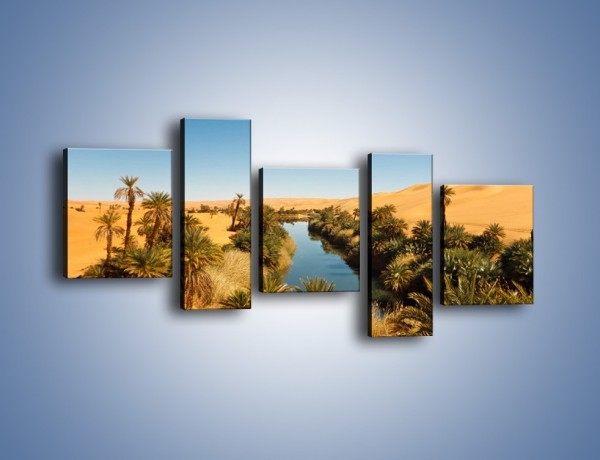 Obraz na płótnie – Woda woda na pustyni – pięcioczęściowy KN1294AW7