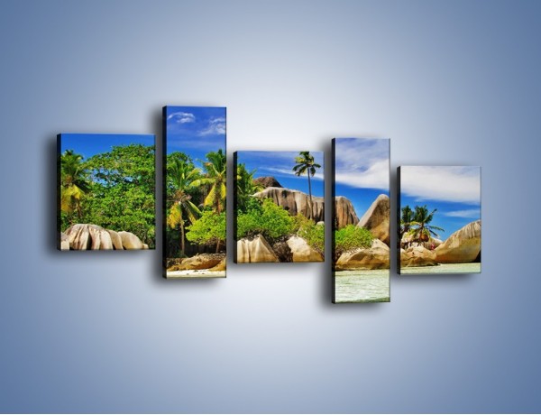 Obraz na płótnie – Tropiki i ich wysokości – pięcioczęściowy KN1306AW7