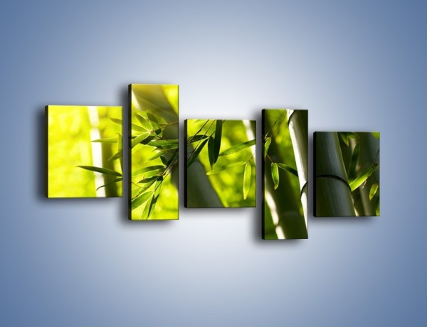 Obraz na płótnie – Twarde łodygi bambusa – pięcioczęściowy KN1314AW7