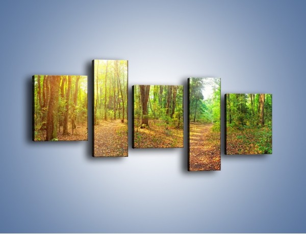 Obraz na płótnie – Przejrzysty piękny las – pięcioczęściowy KN1344AW7