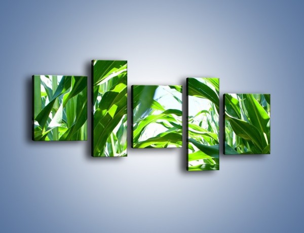 Obraz na płótnie – Wąskie pasmo zieleni – pięcioczęściowy KN154W7