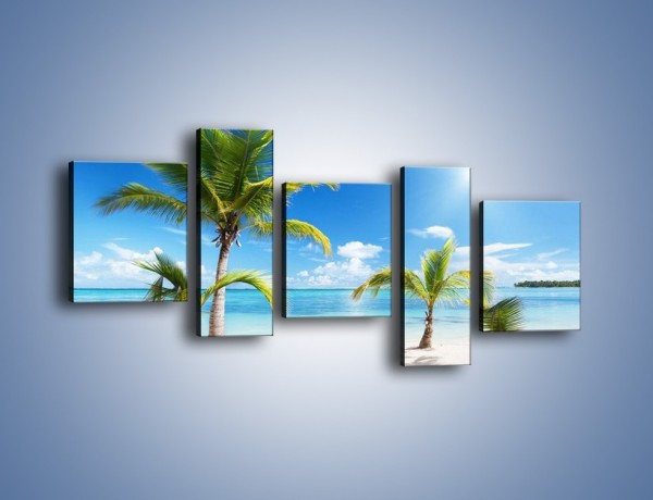 Obraz na płótnie – Palmy na pustej plaży – pięcioczęściowy KN245W7