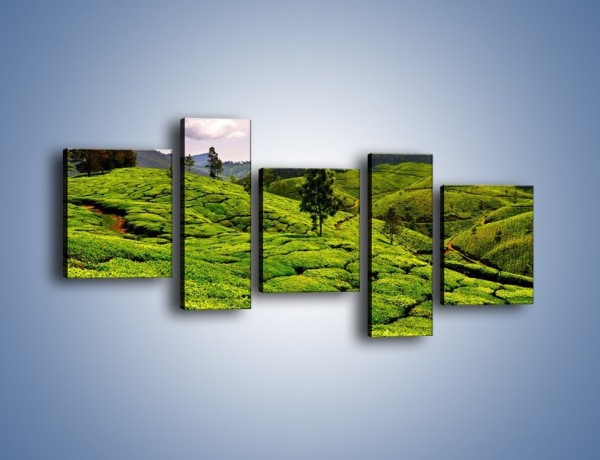 Obraz na płótnie – Góry całe w zieleni – pięcioczęściowy KN246W7