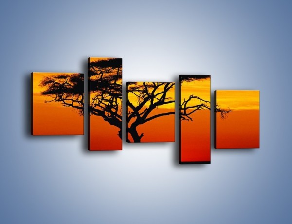 Obraz na płótnie – Zachód słońca i drzewo – pięcioczęściowy KN307W7