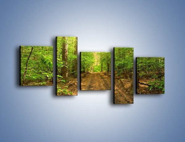 Obraz na płótnie – Leśną drogą jak z filmu – pięcioczęściowy KN324W7