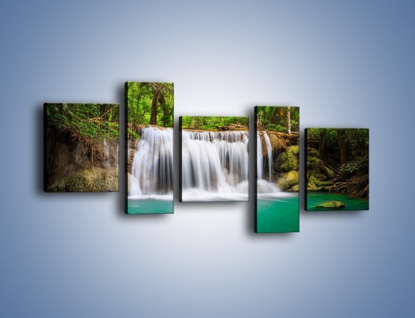 Obraz na płótnie – Piękno leśnego wodospadu – pięcioczęściowy KN894W7