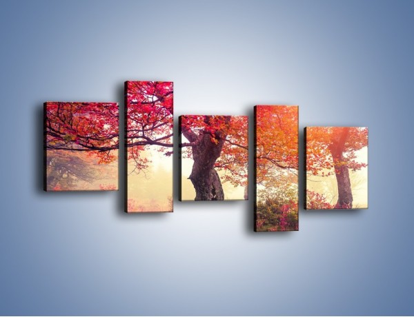 Obraz na płótnie – Kolory na drzewach i na ziemi – pięcioczęściowy KN941W7