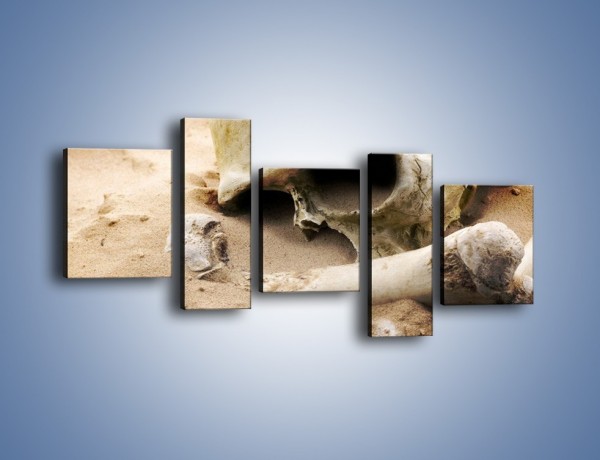 Obraz na płótnie – Starodawne wykopaliska – pięcioczęściowy O254W7