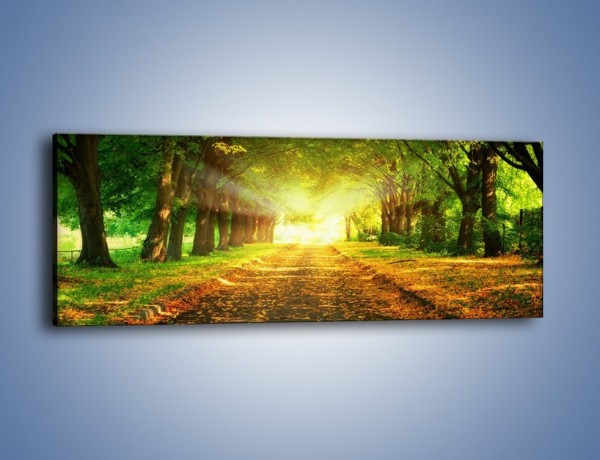 Obraz na płótnie – Drogą leśną do rezydencji – jednoczęściowy panoramiczny KN636