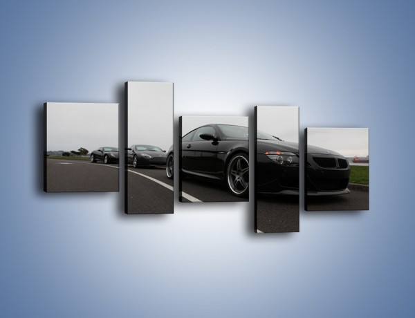 Obraz na płótnie – Luksusowe samochody na drodze – pięcioczęściowy TM179W7