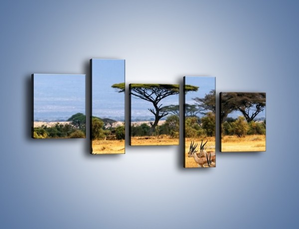 Obraz na płótnie – Antylopy w słonecznej afryce – pięcioczęściowy Z003W7