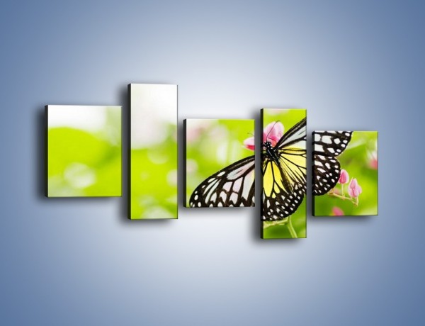 Obraz na płótnie – Motyl w letni poranek – pięcioczęściowy Z004W7
