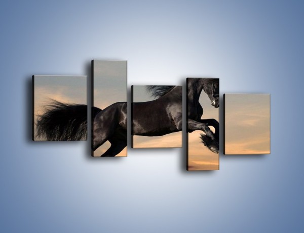 Obraz na płótnie – Czarny koń w galopie – pięcioczęściowy Z008W7