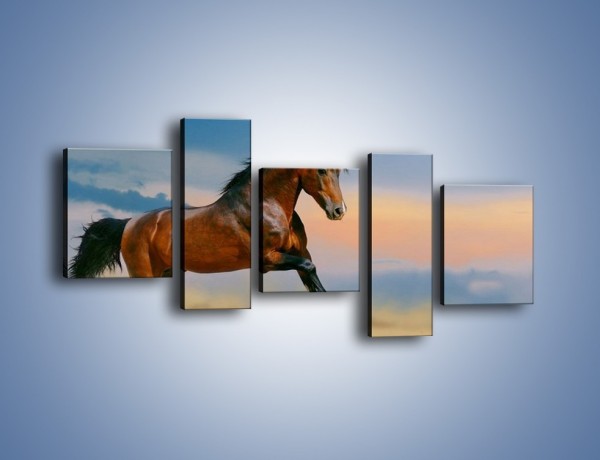 Obraz na płótnie – Brązowy koń na pustyni – pięcioczęściowy Z011W7