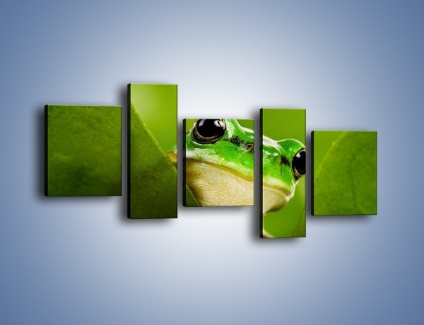 Obraz na płótnie – Zielony świat żabki – pięcioczęściowy Z014W7