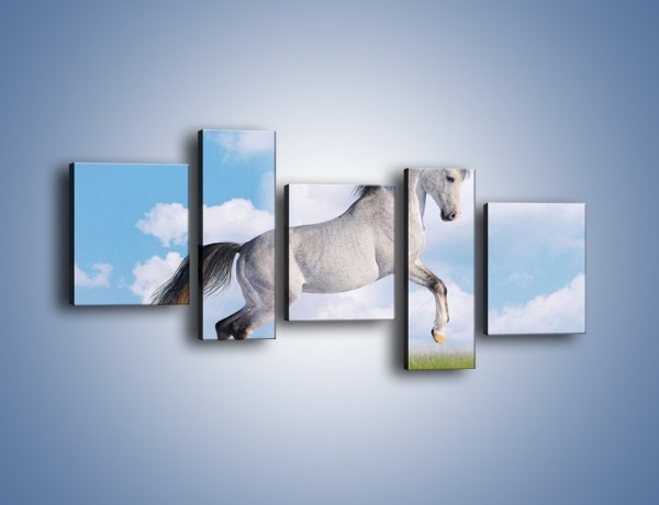 Obraz na płótnie – Białe obłoki i koń – pięcioczęściowy Z019W7