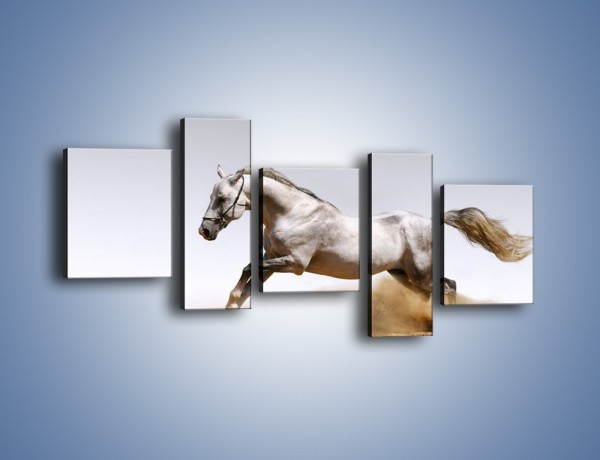 Obraz na płótnie – Srebrny koń w galopie – pięcioczęściowy Z062W7