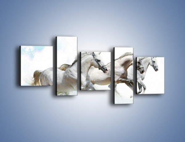 Obraz na płótnie – Końskie trio w zimowym pędzie – pięcioczęściowy Z063W7