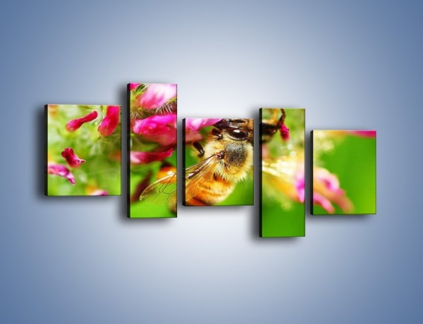 Obraz na płótnie – Pszczoły kochają kwiaty – pięcioczęściowy Z065W7