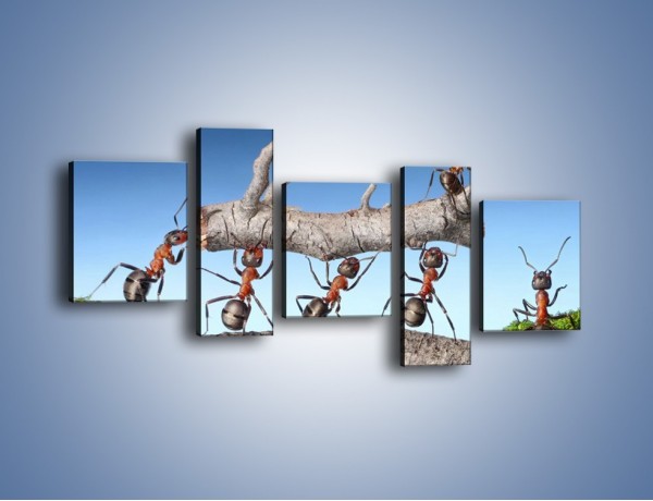 Obraz na płótnie – Pracowite jak mróweczki – pięcioczęściowy Z133W7