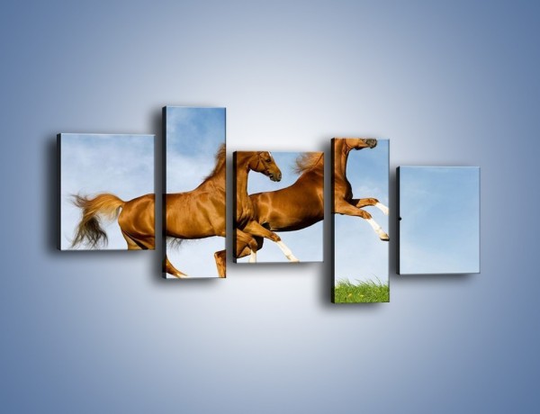 Obraz na płótnie – Skok przez pole z końmi – pięcioczęściowy Z147W7