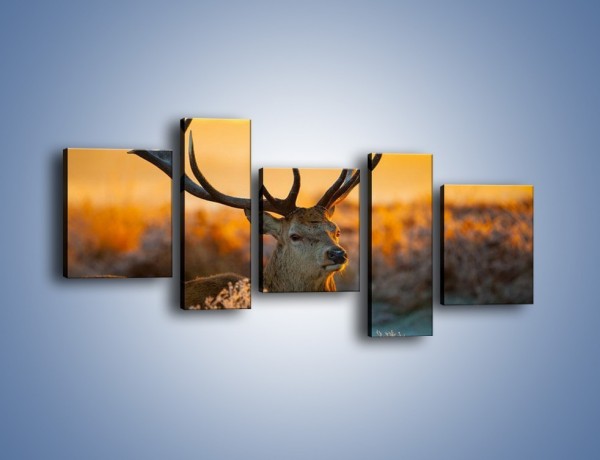 Obraz na płótnie – Ciężkie poroże jelenia – pięcioczęściowy Z165W7