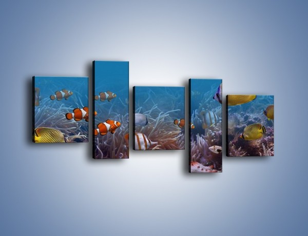 Obraz na płótnie – Ocean i jego kolorowi towarzysze – pięcioczęściowy Z168W7