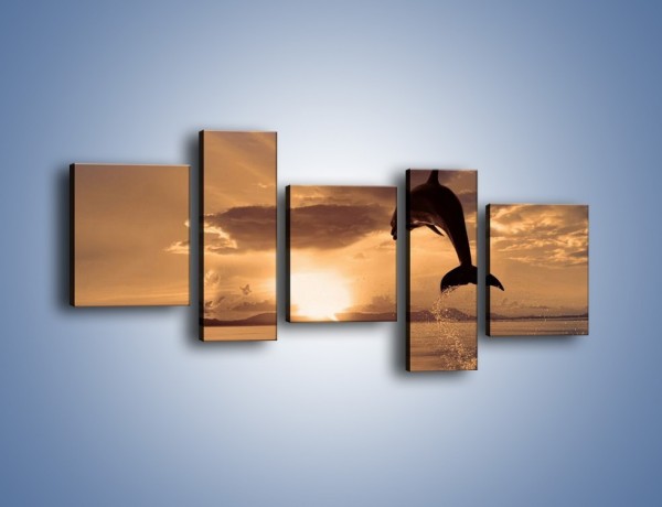 Obraz na płótnie – Z delfinem w stronę zachodzącego słońca – pięcioczęściowy Z170W7