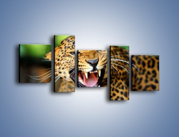 Obraz na płótnie – Jaguar z pazurem – pięcioczęściowy Z184W7