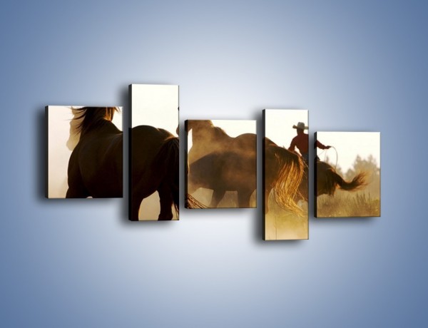 Obraz na płótnie – Cowboy wśród koni – pięcioczęściowy Z206W7