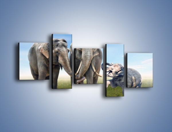 Obraz na płótnie – Przebij łapę ze słoniątkiem – pięcioczęściowy Z208W7