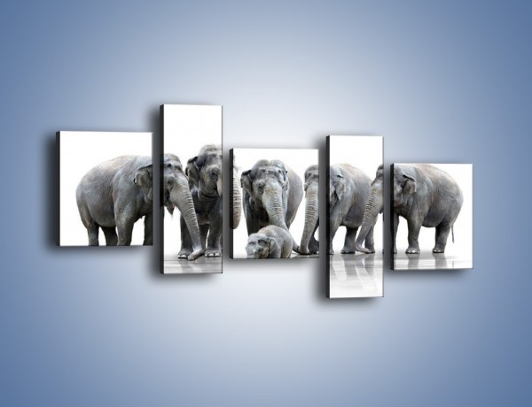 Obraz na płótnie – Na przyjęciu u słoniątka – pięcioczęściowy Z209W7