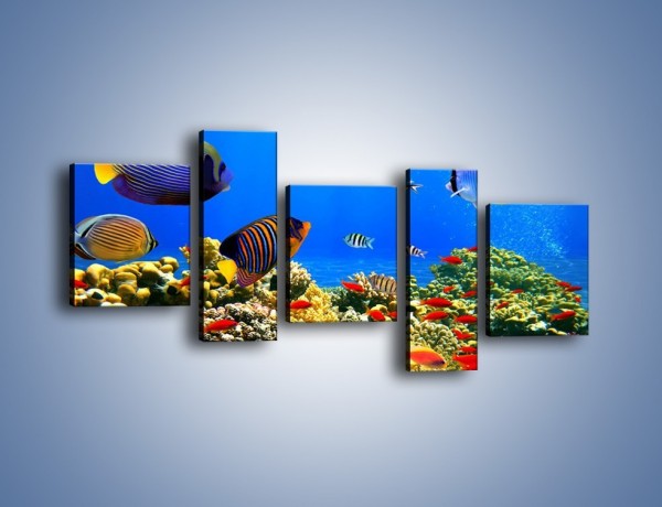 Obraz na płótnie – Kolory tęczy pod wodą – pięcioczęściowy Z220W7