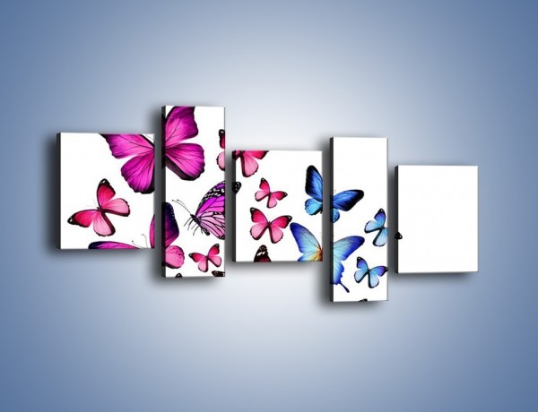 Obraz na płótnie – Rodzina kolorowych motyli – pięcioczęściowy Z235W7