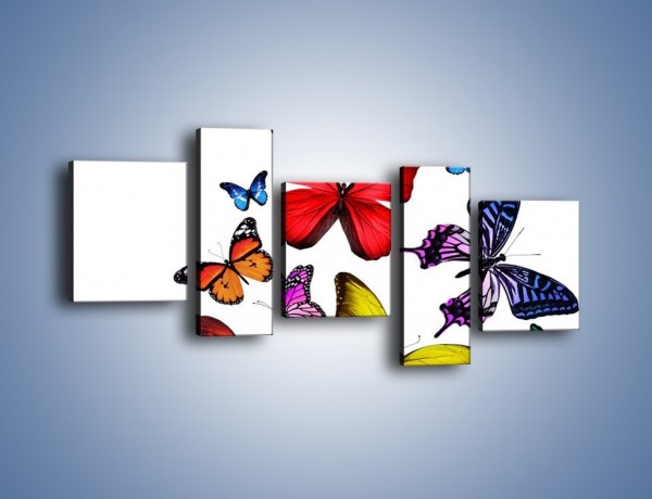 Obraz na płótnie – Kolorowo wśród motyli – pięcioczęściowy Z236W7
